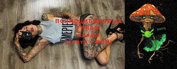 ешки Инта