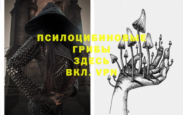 мескалин Инсар