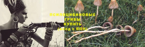 ешки Инта