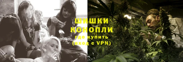 ешки Инта
