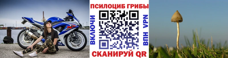 Галлюциногенные грибы MAGIC MUSHROOMS Купить где Карачев